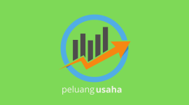 Pengembangan ide dan peluang usaha